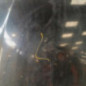 Capot PEUGEOT 508 1 SW
