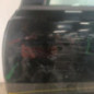 Porte arriere gauche PEUGEOT 508 1 SW