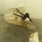 Vase de lave glace KIA PICANTO 1