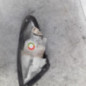 Optique avant secondaire gauche (feux)(clignotant) RENAULT ESPACE 3