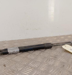 Verin de coffre RENAULT SCENIC 4