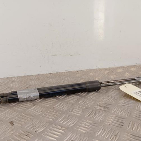 Verin de coffre RENAULT SCENIC 4