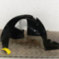 Pare boue avant droit CITROEN BERLINGO 1