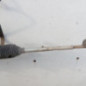 Cremaillere assistee PEUGEOT 307