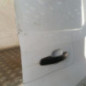 Porte de coffre droit FORD TRANSIT 5
