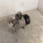 Compresseur clim BMW SERIE 1 F20