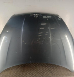 Capot PEUGEOT 508 1 Photo n°1