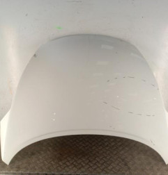 Capot NISSAN JUKE 1 Photo n°1