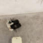Serrure de hayon RENAULT CLIO 3