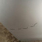 Porte arriere droit PEUGEOT 308 2
