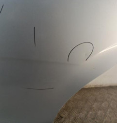 Porte arriere gauche SEAT ALTEA Photo n°4