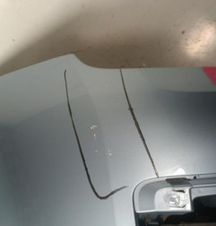 Pare choc avant FORD C-MAX 1