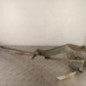 Moteur essuie glace avant RENAULT MEGANE 1