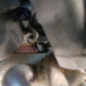 Moteur HYUNDAI I 20 1