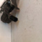 Serrure de hayon RENAULT MEGANE 4