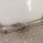Moteur essuie glace avant RENAULT MASTER 3