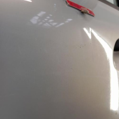 Porte avant gauche RENAULT CLIO 2