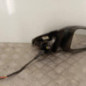 Retroviseur droit VOLVO S 60 2