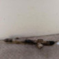 Cremaillere assistee PEUGEOT EXPERT 2