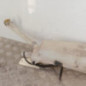 Vase de lave glace RENAULT CLIO 3