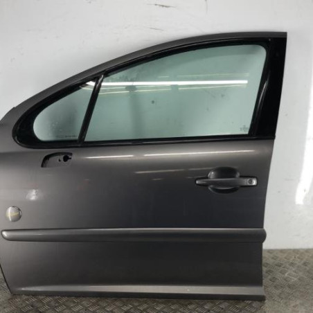 Porte avant gauche PEUGEOT 207 Photo n°1