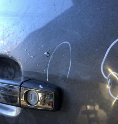Porte avant gauche OPEL MERIVA B Photo n°5