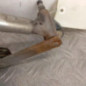 Moteur essuie glace avant RENAULT LAGUNA 3