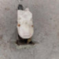 Serrure de hayon MITSUBISHI GRANDIS