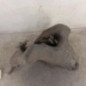 Vase de lave glace CITROEN C5 1