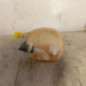 Vase d'expansion FIAT FIORINO 3