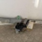 Leve vitre electrique avant droit RENAULT SCENIC 2
