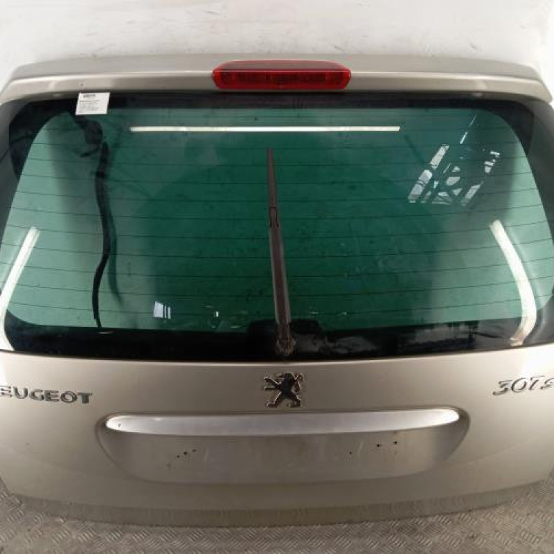 Malle/Hayon arriere PEUGEOT 307