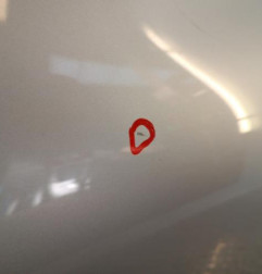 Porte arriere gauche RENAULT CLIO 4