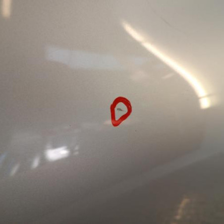 Porte arriere gauche RENAULT CLIO 4