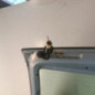 Malle/Hayon arriere SEAT IBIZA 3