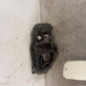 Platine feu arriere droit RENAULT TWINGO 3