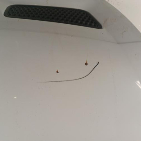 Capot RENAULT SCENIC 1