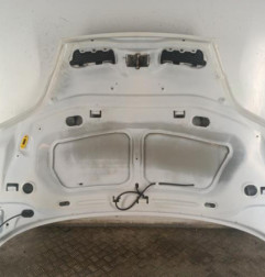 Capot RENAULT SCENIC 1 Photo n°5