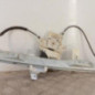 Leve vitre electrique avant droit PEUGEOT 407