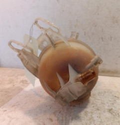 Vase d'expansion CITROEN C3 2