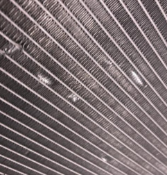 Radiateur eau RENAULT CAPTUR 2 Photo n°4