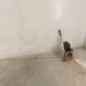 Serrure avant droit PEUGEOT 106
