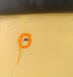 Porte avant gauche VOLKSWAGEN LUPO