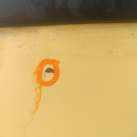Porte avant gauche VOLKSWAGEN LUPO
