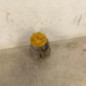Anti brouillard droit (feux) CITROEN C2