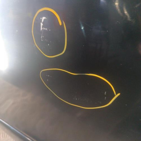 Porte arriere droit RENAULT MEGANE 3