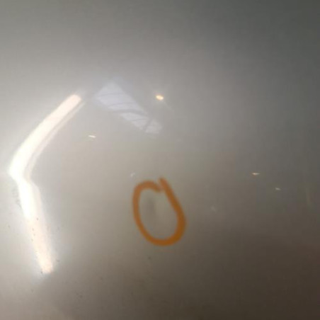 Porte arriere gauche PEUGEOT 307