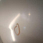 Porte arriere gauche PEUGEOT 307
