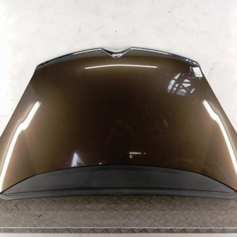 Capot CITROEN C4 PICASSO 1