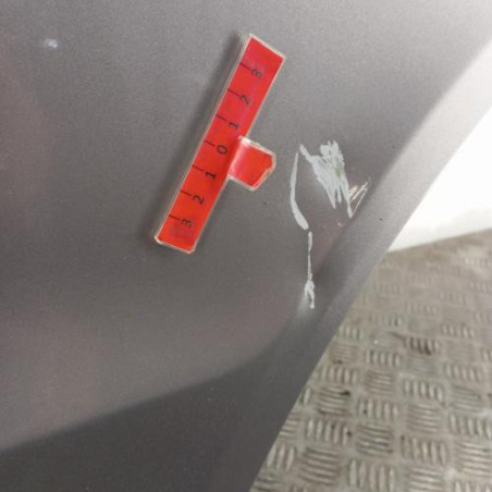 Porte arriere gauche HYUNDAI SANTA FE 2